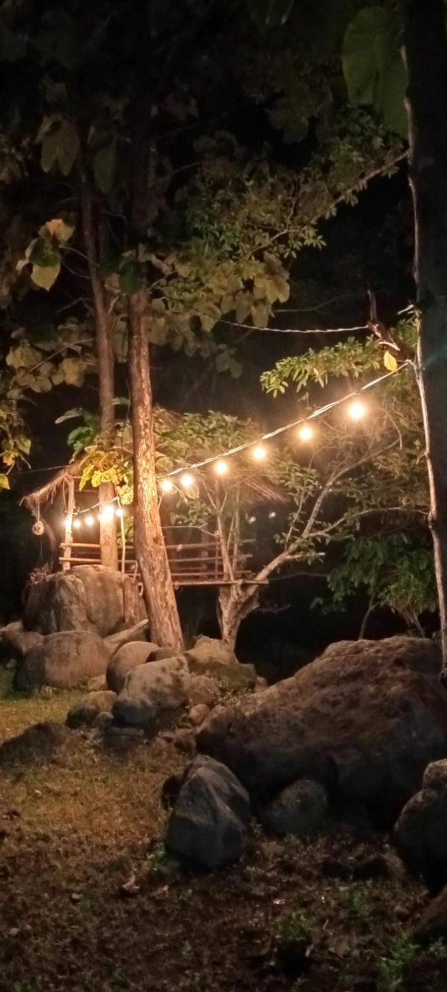 Tiu Batu Homestay Alas Zewnętrze zdjęcie